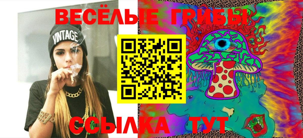 купить наркотики сайты  Галлюциногенные грибы Cubensis  Вход с VPN  Москва 